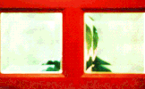 Kon-GIF-10.gif