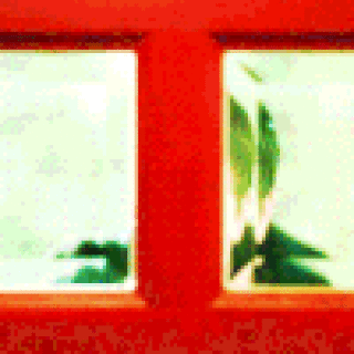 Kon-GIF-10