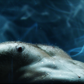 Reed-Banner-02